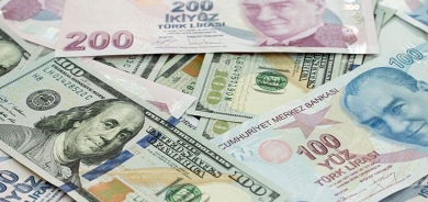 Lîreya Tirkî li hember Dolar rekoreke dîrokî tomar kir