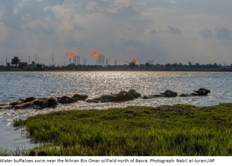 Iraq's Oil Boom Contributes to Worsening Water Crisis in Drought-Hit South, Says The Guardian