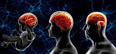 الإصابة بالسكري تزيد شيخوخة الدماغ 6 سنوات