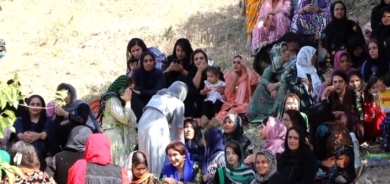 Rojhilatê Kurdistanê - Festîvala Dara Tûyê tê lidarxistin