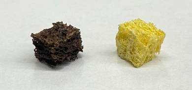 إسفنجة تزيل الرصاص من المياه