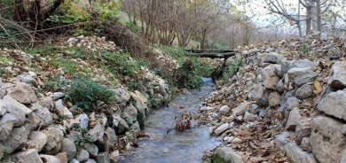 سروشت لە چاوی كامیراوە