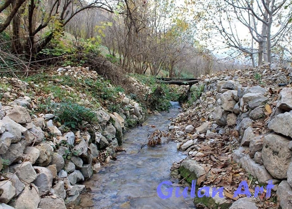 سروشت لە چاوی كامیراوە