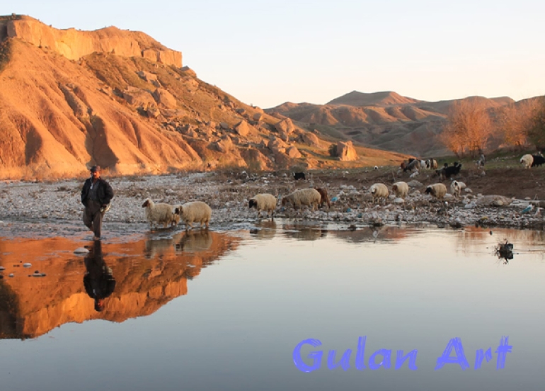 سروشت لە چاوی كامیراوە