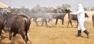 Wezareta     Tenduristiyê    amarên tûşbûyên taya xwînberbûnê aşkere dike