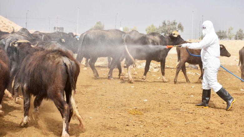 Wezareta     Tenduristiyê    amarên tûşbûyên taya xwînberbûnê aşkere dike