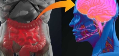 دراسة تؤكد ارتباط “الدماغ الثاني” لجسمنا بالتوحد