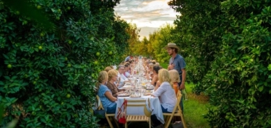 سياحة كوردستان: اكتمال الاستعدادات والبدء بتنفيذ فقرات خطة السياحة الزراعية قريباً