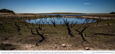 Earth's Temperature Hits Record High for Third Time in a Week