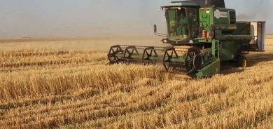 Rêveberiya Xweser zêdeyî milyonek ton genim wergirtiye