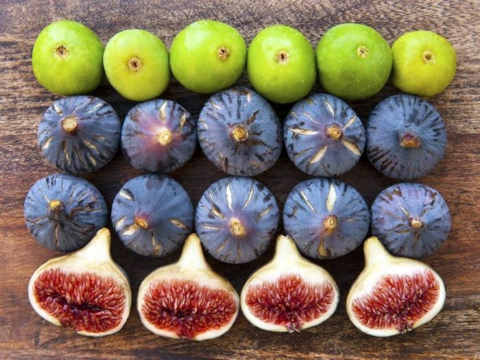 أربيل تحتضن مهرجاناً للتين