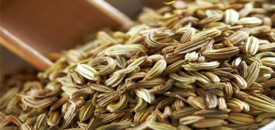 ڕازیانەی بەتام و چێژ