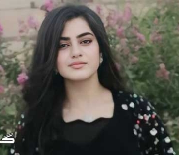 کابینا نەهێ و تەحەدایا قەیرانان