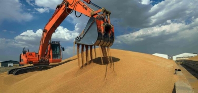 Kurdish Farmers Complete Wheat Delivery, Await Payment from Iraqi Government
