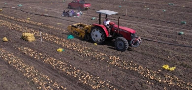 Berhemên Cotkarên Kurd zêde bûne