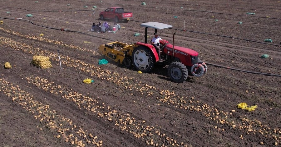 Berhemên Cotkarên Kurd zêde bûne