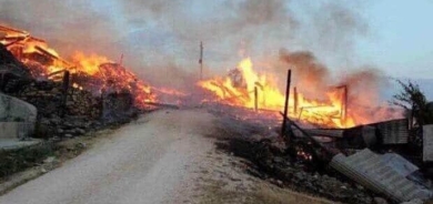 Li Licê agir bi daristanan ket û hin mal hatin vala kirin