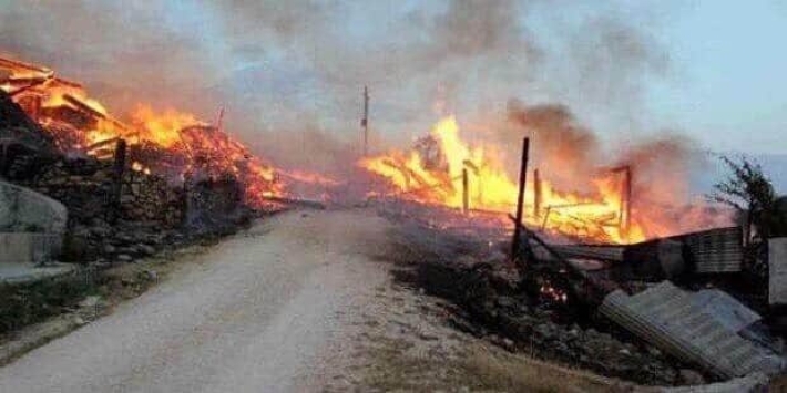 Li Licê agir bi daristanan ket û hin mal hatin vala kirin