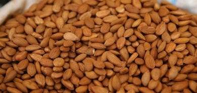 MELETÎ - Bi 8 milyon dolaran dendikên qeysiyan hatine hinardekirin