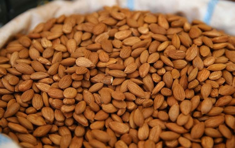 MELETÎ - Bi 8 milyon dolaran dendikên qeysiyan hatine hinardekirin