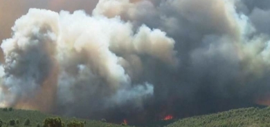 Guherîna keşûhewayê sedema sereke ya şewitîna daristanan e