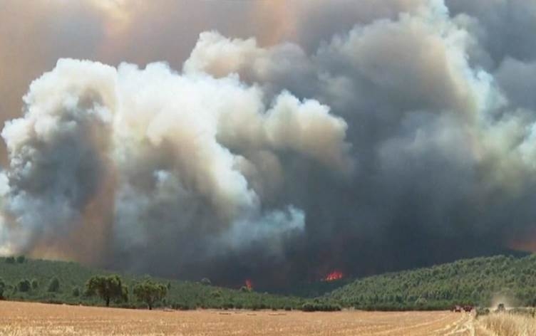 Guherîna keşûhewayê sedema sereke ya şewitîna daristanan e