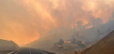 Li Mereşê 20 hektar zevî û daristan şewitîn