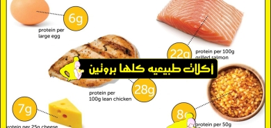 البروتين... أهميته ومصادره ومقدار استهلاكه اليومي