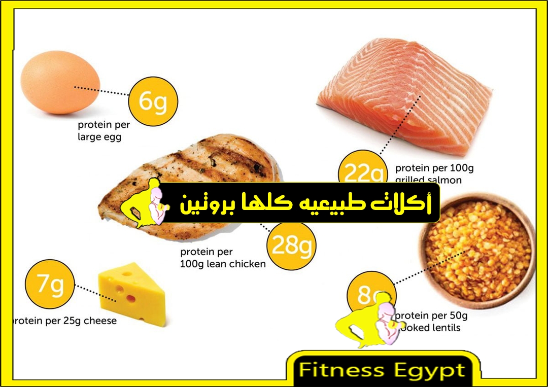 البروتين... أهميته ومصادره ومقدار استهلاكه اليومي