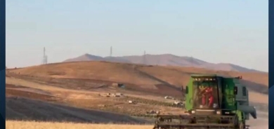 Parêzgariya Sineyê dê 900 hezar ton genim ji cotkaran wergire