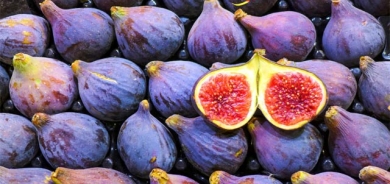 هەنجیر لە خانەی گوڵەكانی ئاكواریمە