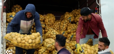 Petateyên Hewlêrê gihişt Dubey