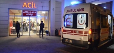 Li Rihayê 2 bira hatin kuştin