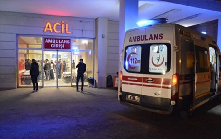 Li Rihayê 2 bira hatin kuştin