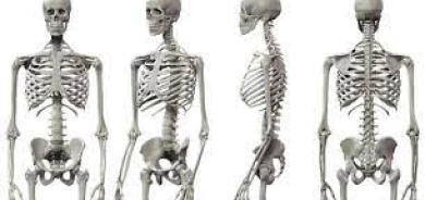 انتبه... 9 عادات تضعف عظامك!