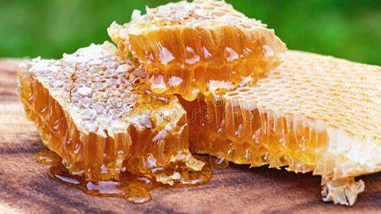 عسل إقليم كوردستان في المرتبة الأولى في مؤتمر دولي