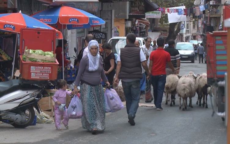 Piraniya Kurdên Stenbolê hejar in: ‘Em bi zorê xwe xwedî dikin’