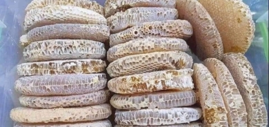 مساعي لتوسيم عسل كوردستان .. زيادة الإقبال على تربية النحل في الإقليم