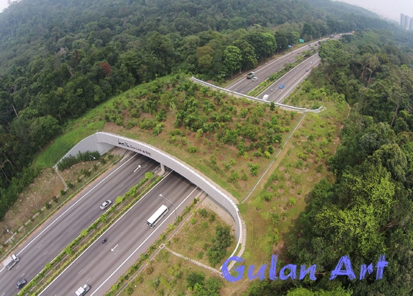 سەرەڕای فراوانبوونی ڕێگای نێوان شارەكان, ئاژەڵەكان لە ژینگەیان بێبەش نابن