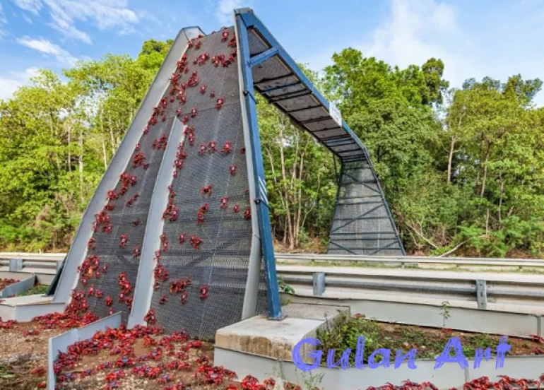 سەرەڕای فراوانبوونی ڕێگای نێوان شارەكان, ئاژەڵەكان لە ژینگەیان بێبەش نابن