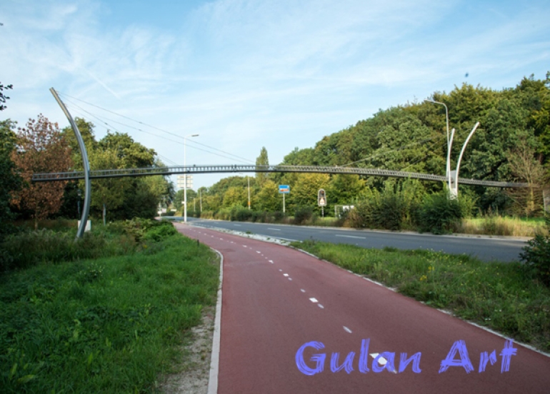 سەرەڕای فراوانبوونی ڕێگای نێوان شارەكان, ئاژەڵەكان لە ژینگەیان بێبەش نابن