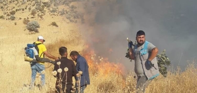 Li Amedê agirê daristanê hat vemirandin lê li Mêrdinê berdewam e