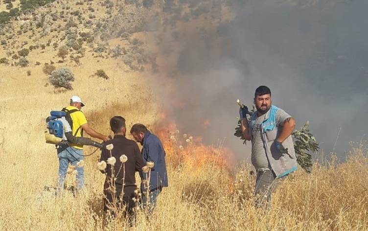 Li Amedê agirê daristanê hat vemirandin lê li Mêrdinê berdewam e