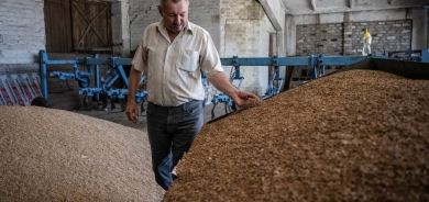 شركة فرنسية: روسيا تواصل «الهيمنة» على تجارة القمح