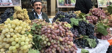 16. Pêşangeha Tirî û Hinguv li Duhokê tê lidarxistin