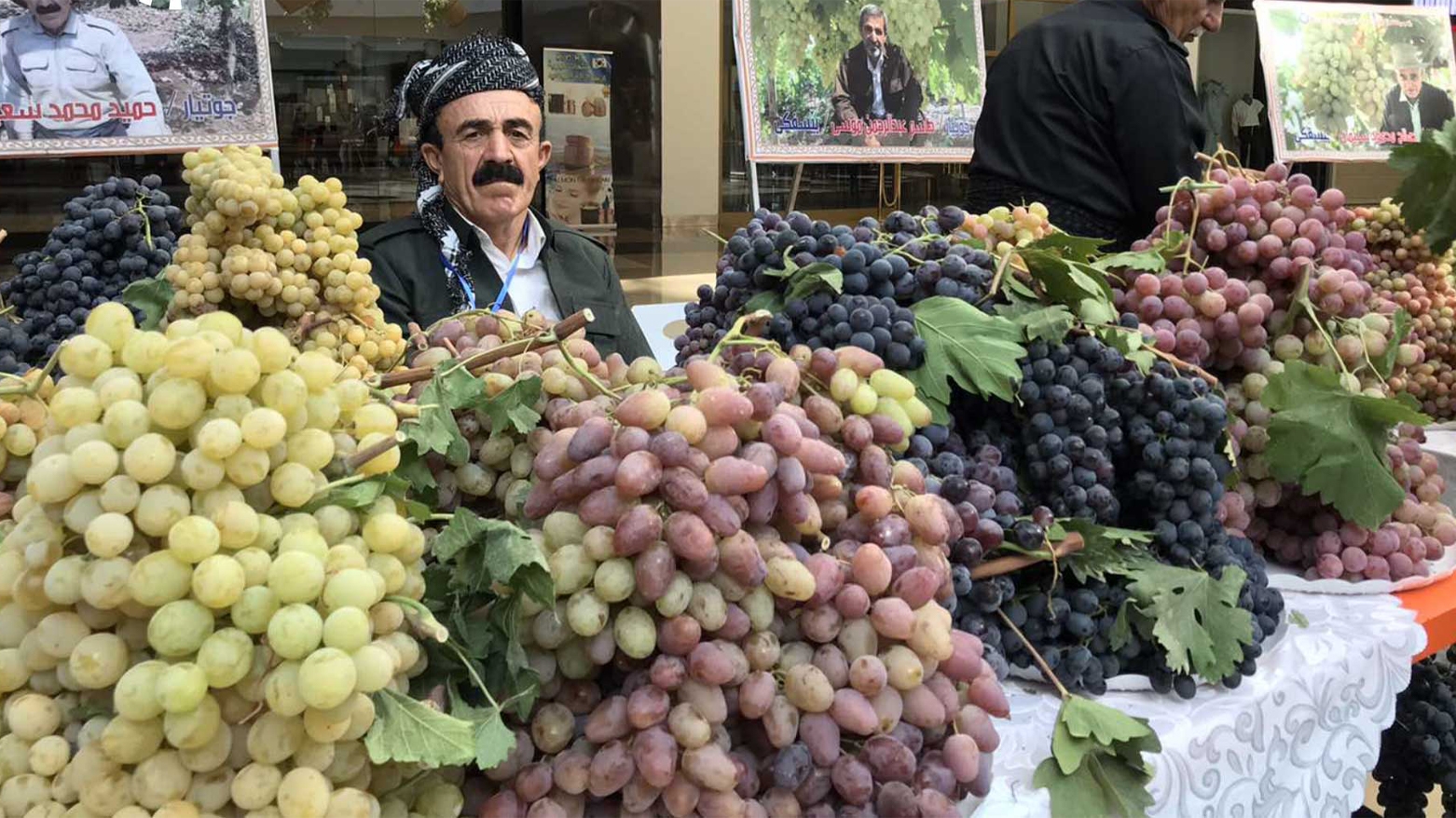 دهوك تحتضن المعرض الـ 16 للعنب والعسل