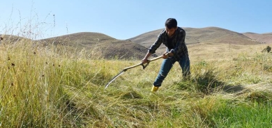 GEVER - Ciwanekî cotkar û rêncber serkeftineke mezin bi dest xist