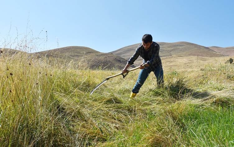 GEVER - Ciwanekî cotkar û rêncber serkeftineke mezin bi dest xist