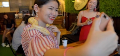 قاوەخانە و چێشتخانەی خشۆكەكان