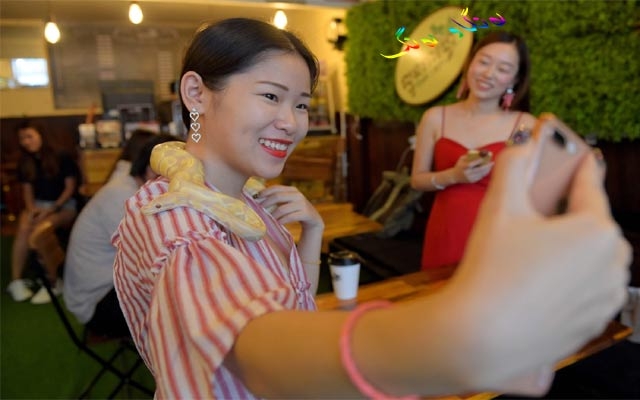 قاوەخانە و چێشتخانەی خشۆكەكان